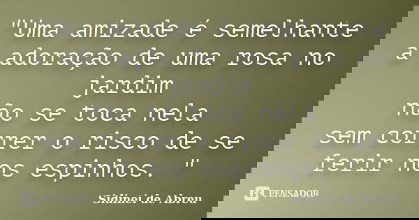 "Uma amizade é semelhante a adoração de uma rosa no jardim não se toca nela sem correr o risco de se ferir nos espinhos. "... Frase de Sidinei de Abreu.