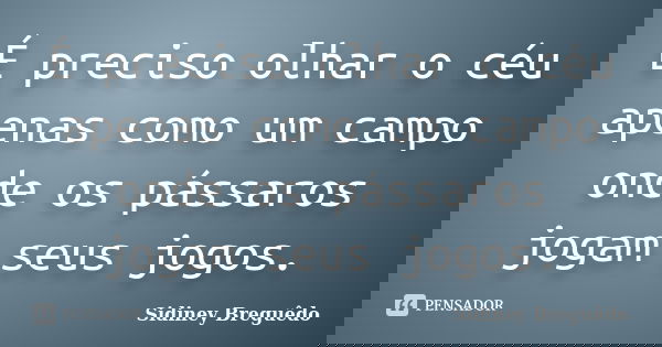 É preciso olhar o céu apenas como um campo onde os pássaros jogam seus jogos.... Frase de Sidiney Breguêdo.
