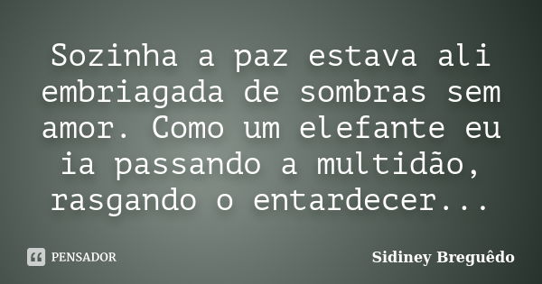 Sozinha a paz estava ali embriagada de sombras sem amor. Como um elefante eu ia passando a multidão, rasgando o entardecer...... Frase de Sidiney Breguêdo.