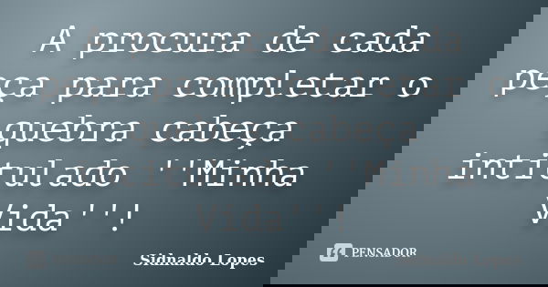 A procura de cada peça para completar o quebra cabeça intitulado ''Minha Vida''!... Frase de Sidnaldo Lopes.