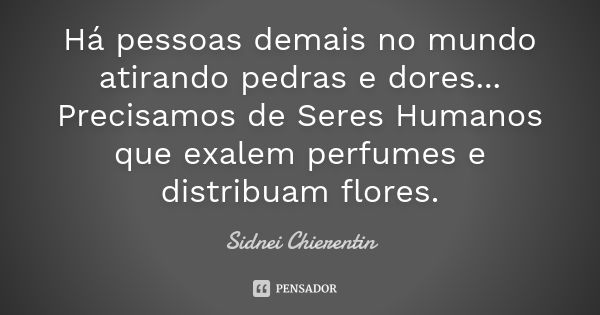 Há pessoas demais no mundo atirando pedras e dores... Precisamos de Seres Humanos que exalem perfumes e distribuam flores.... Frase de Sidnei chierentin.