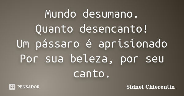 Mundo desumano. Quanto desencanto! Um pássaro é aprisionado Por sua beleza, por seu canto.... Frase de Sidnei Chierentin.