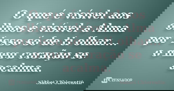 O que é visível aos olhos é visível a Alma por isso só de ti olhar... o meu coração se acalma.... Frase de Sidnei Chierentin.