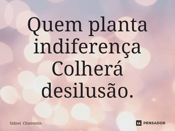 ⁠Quem planta indiferença Colherá desilusão.... Frase de Sidnei Chierentin.