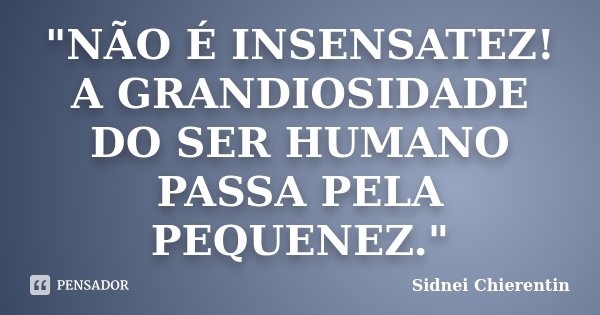 "NÃO É INSENSATEZ! A GRANDIOSIDADE DO SER HUMANO PASSA PELA PEQUENEZ."... Frase de Sidnei Chierentin.