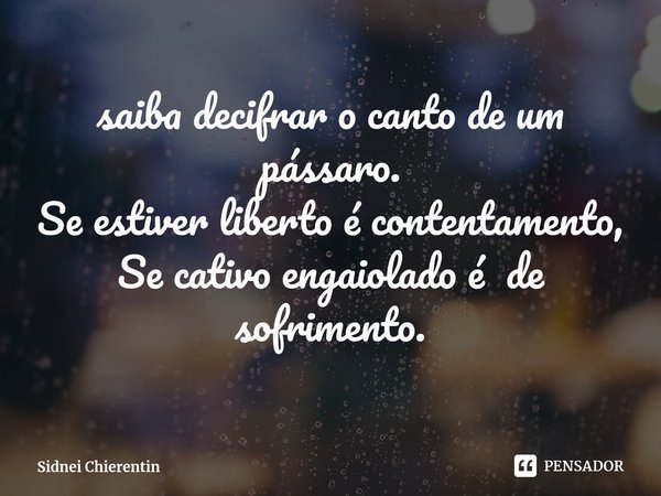 ⁠saiba decifrar o canto de um pássaro.
Se estiver liberto é contentamento,
Se cativo engaiolado é de sofrimento.... Frase de Sidnei Chierentin.