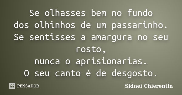 Se olhasses bem no fundo dos olhinhos de um passarinho. Se sentisses a amargura no seu rosto, nunca o aprisionarias. O seu canto é de desgosto.... Frase de Sidnei Chierentin.