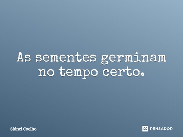 ⁠As sementes germinam no tempo certo.... Frase de Sidnei Coelho.