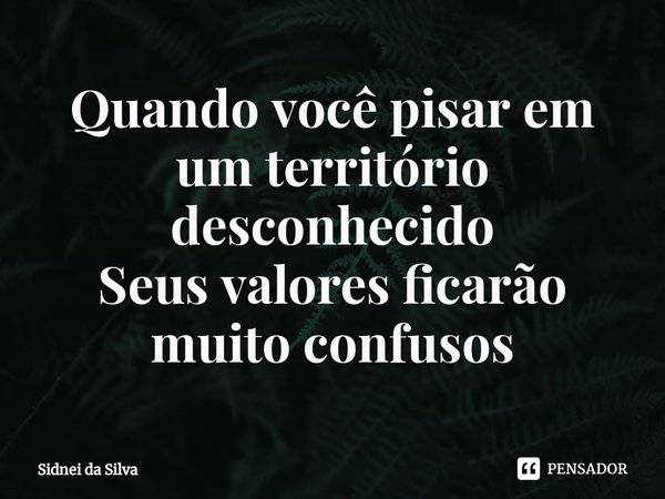 ⁠Quando você pisar em um território desconhecido
Seus valores ficarão muito confusos... Frase de Sidnei Da Silva.