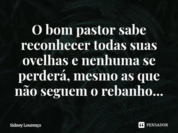 ⁠O bom pastor sabe reconhecer todas suas ovelhas e nenhuma se perderá, mesmo as que não seguem o rebanho...... Frase de Sidney Lourenço.