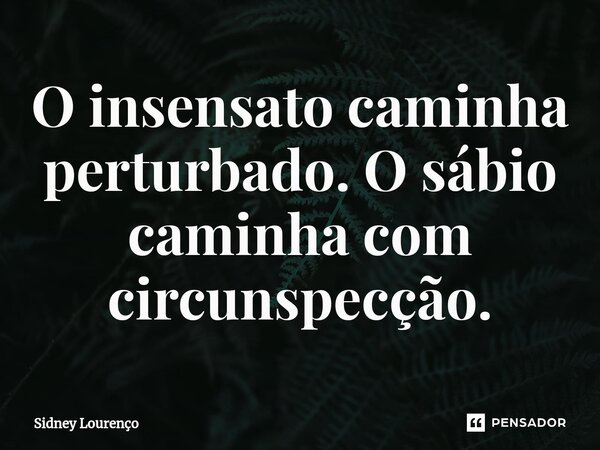 O insensato caminha perturbado.O sábio caminha com circunspecção.... Frase de Sidney Lourenço.