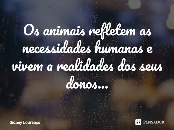 ⁠Os animais refletem as necessidades humanas e vivem a realidades dos seus donos...... Frase de Sidney Lourenço.