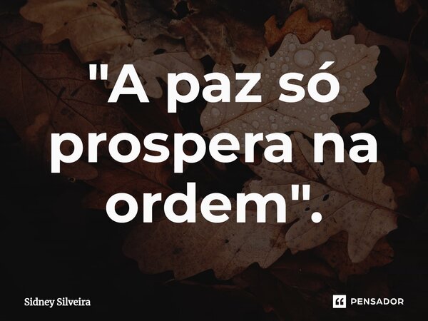 ⁠"A paz só prospera na ordem".... Frase de Sidney Silveira.