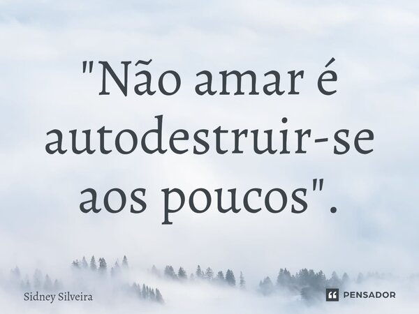 ⁠"Não amar é autodestruir-se aos poucos".... Frase de Sidney Silveira.