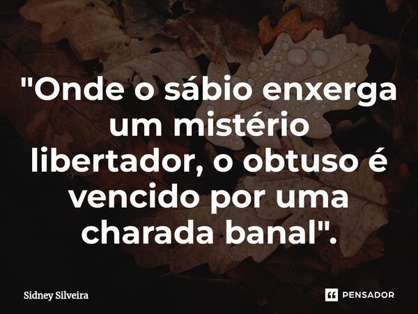 ⁠"Onde o sábio enxerga um mistério libertador, o obtuso é vencido por uma charada banal".... Frase de Sidney Silveira.