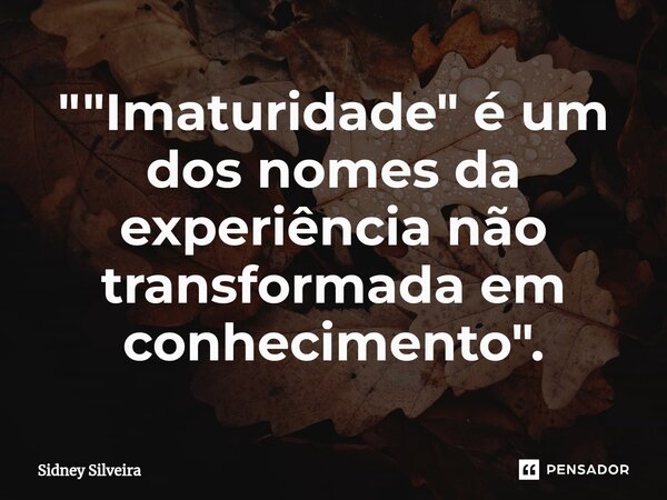 ⁠""Imaturidade" é um dos nomes da experiência não transformada em conhecimento".... Frase de Sidney Silveira.
