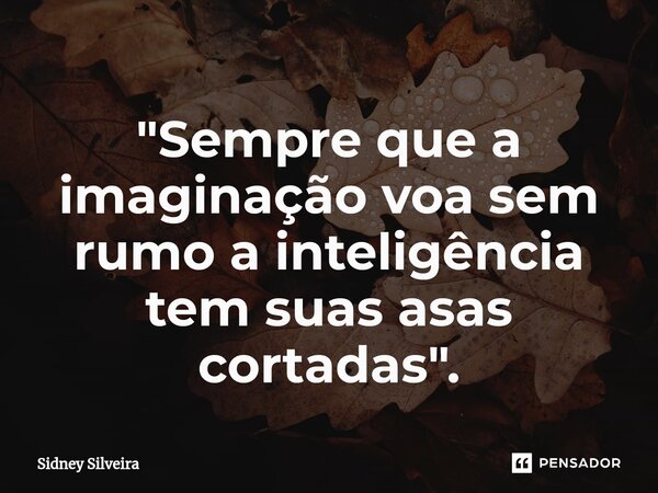 ⁠"Sempre que a imaginação voa sem rumo a inteligência tem suas asas cortadas".... Frase de Sidney Silveira.