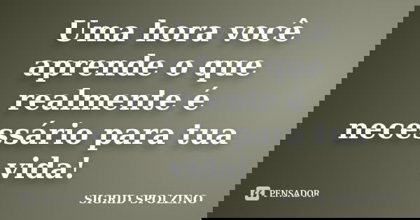 Uma hora você aprende o que realmente é necessário para tua vida!... Frase de SIGRID SPOLZINO.