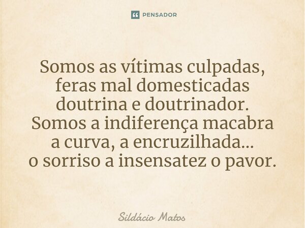 ⁠Somos as vítimas culpadas, feras mal domesticadas doutrina e doutrinador. Somos a indiferença macabra a curva, a encruzilhada... o sorriso a insensatez o pavor... Frase de Sildácio Matos.