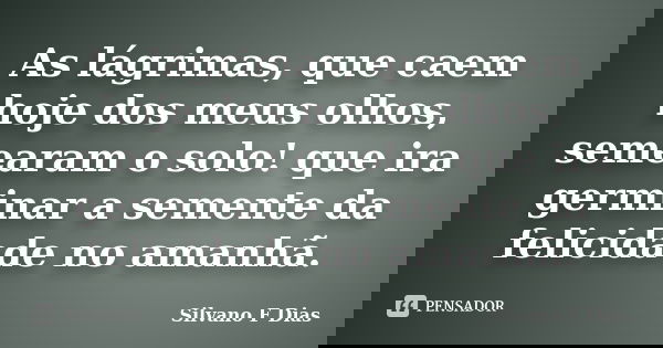 As lágrimas, que caem hoje dos meus olhos, semearam o solo! que ira germinar a semente da felicidade no amanhã.... Frase de Silvano F Dias.