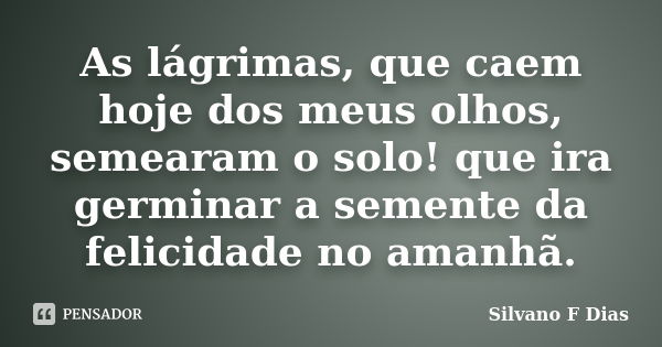 As lágrimas, que caem hoje dos meus olhos, semearam o solo! que ira germinar a semente da felicidade no amanhã.... Frase de Silvano F Dias.