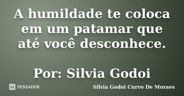 A humildade te coloca em um patamar que até você desconhece. Por: Silvia Godoi... Frase de Silvia Godoi Curvo De Moraes.