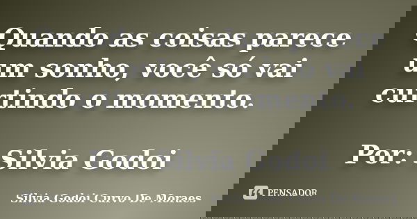 Quando as coisas parece um sonho, você só vai curtindo o momento. Por: Silvia Godoi... Frase de Silvia Godoi Curvo De Moraes.