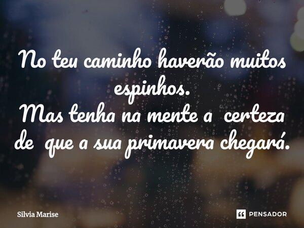 No teu caminho haverão muitos espinhos. Mas tenha na mente a certeza de que a sua primavera chegará.... Frase de Silvia Marise.