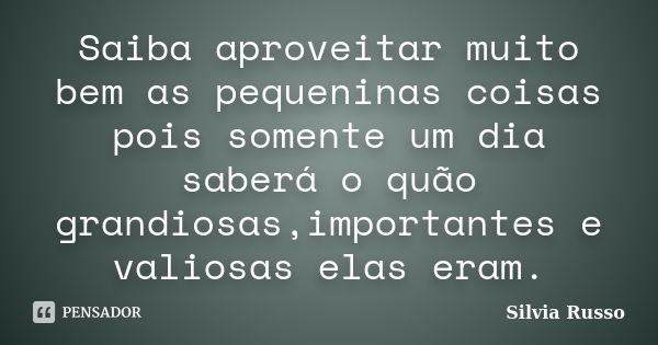 Saiba aproveitar muito bem as pequeninas coisas pois somente um dia saberá o quão grandiosas,importantes e valiosas elas eram.... Frase de Silvia Russo.