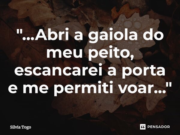 ⁠"...Abri a gaiola do meu peito, escancarei a porta e me permiti voar..."... Frase de Silvia Togo.