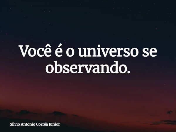 Você é o universo se observando.... Frase de Silvio Antonio Corrêa Junior.
