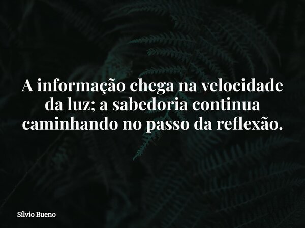 A informação chega na velocidade da luz; a sabedoria continua caminhando no passo da reflexão.... Frase de Sílvio Bueno.
