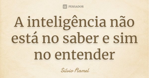 A inteligência não está no saber e sim no entender... Frase de Silvio Flamel.