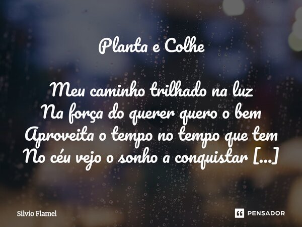Planta e Colhe Meu caminho trilhado na luz Na força do querer quero o bem Aproveita o tempo no tempo que tem No céu vejo o sonho a conquistar De cabeça vou no ... Frase de Silvio Flamel.
