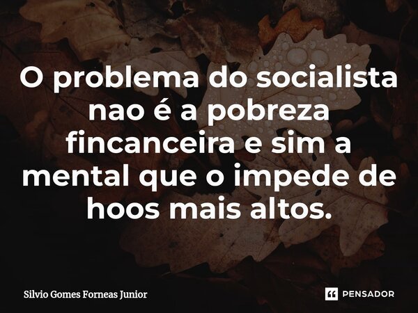 O problema do socialista nao é a pobreza fincanceira e sim a mental que o impede de hoos mais altos.⁠... Frase de Silvio Gomes Forneas Junior.