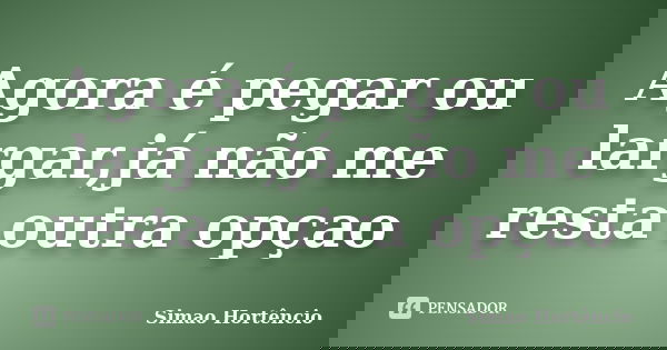 Agora é pegar ou largar,já não me resta outra opçao... Frase de Simao Hortêncio.