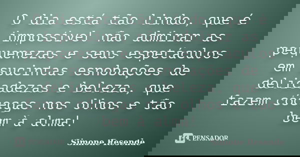 O dia está tão lindo, que é impossível não admirar as pequenezas e seus espetáculos em sucintas esnobações de delicadezas e beleza, que fazem cócegas nos olhos ... Frase de Simone Resende.