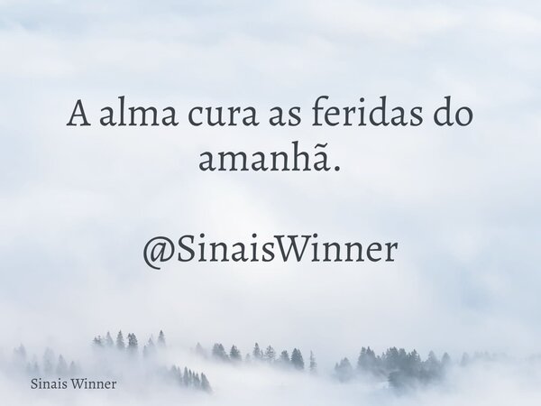 A alma cura as feridas do amanhã. @SinaisWinner... Frase de Sinais Winner.