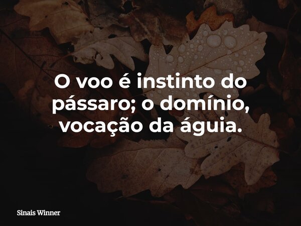 O voo é instinto do pássaro; o domínio, vocação da águia.... Frase de Sinais Winner.