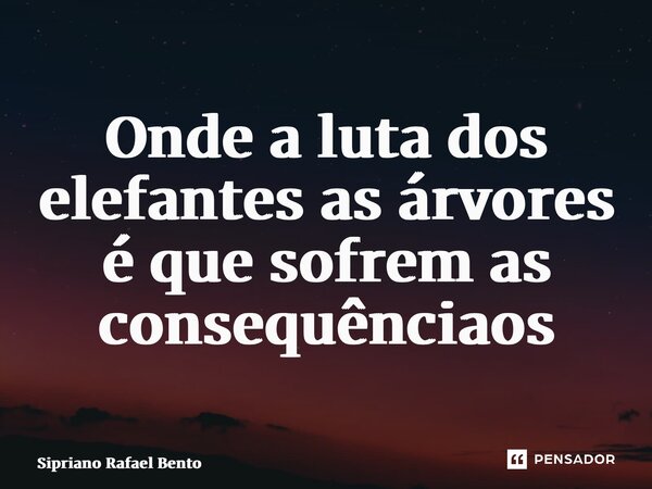 Onde a luta dos elefantes as árvores é que sofrem as consequências... Frase de Sipriano Rafael Bento.