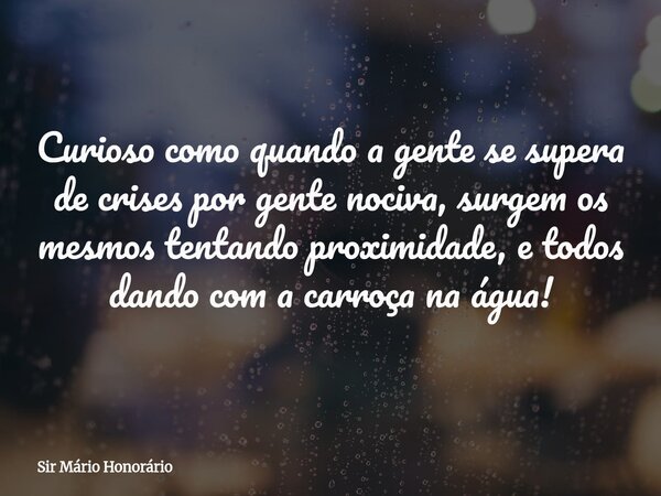 Curioso como quando a gente se supera de crises por gente nociva, surgem os mesmos tentando proximidade, e todos dando com a carroça na água!... Frase de Sir Mário Honorário.