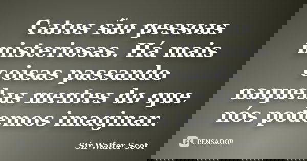 Gatos são pessoas misteriosas. Há mais coisas passando naquelas mentes do que nós podemos imaginar.... Frase de Sir Walter Scot.