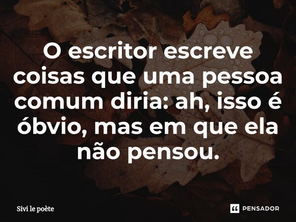 ⁠O escritor escreve coisas que uma pessoa comum diria: ah, isso é óbvio, mas em que ela não pensou.... Frase de Sivi le poète.