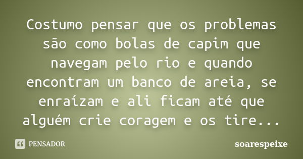 Costumo pensar que os problemas são como bolas de capim que navegam pelo rio e quando encontram um banco de areia, se enraízam e ali ficam até que alguém crie c... Frase de soarespeixe.