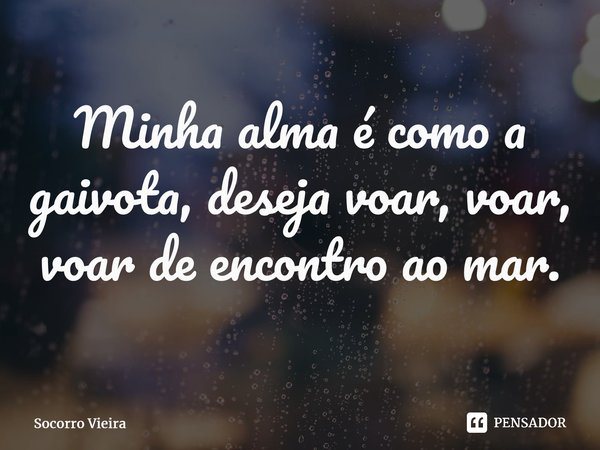 ⁠Minha alma é como a gaivota, deseja voar, voar, voar de encontro ao mar.... Frase de Socorro Vieira.