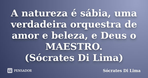 A natureza é sábia, uma verdadeira orquestra de amor e beleza, e Deus o MAESTRO. (Sócrates Di Lima)... Frase de Socrates Di Lima.