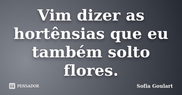 Vim dizer as hortênsias que eu também solto flores.... Frase de Sofia Goulart.