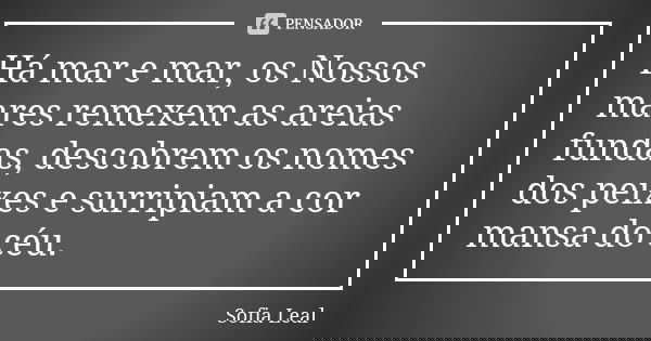 Há mar e mar, os Nossos mares remexem as areias fundas, descobrem os nomes dos peixes e surripiam a cor mansa do céu.... Frase de Sofia Leal.