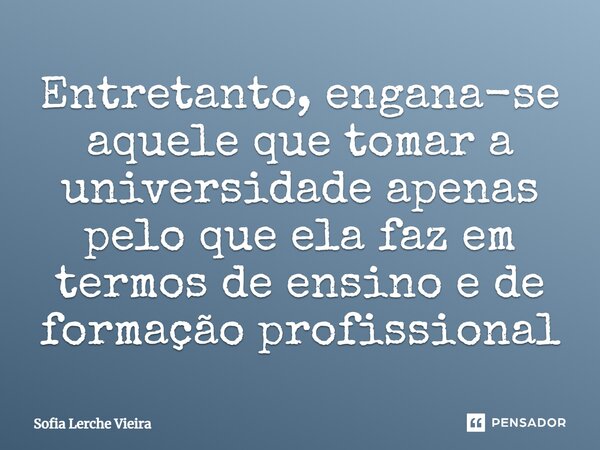 ⁠Entretanto, engana-se aquele que tomar a universidade apenas pelo que ela faz em termos de ensino e de formação profissional... Frase de Sofia Lerche Vieira.