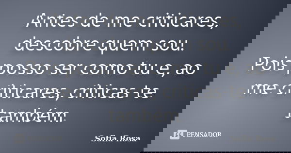 Antes de me criticares, descobre quem sou. Pois posso ser como tu e, ao me criticares, criticas-te também.... Frase de Sofia Rosa.